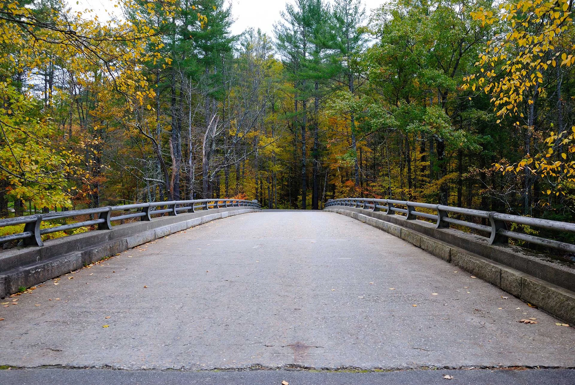 Spring Path Recovery Therapy Services | Brave Path Recovery